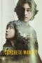 Nonton Film Concrete Market Sub Indo